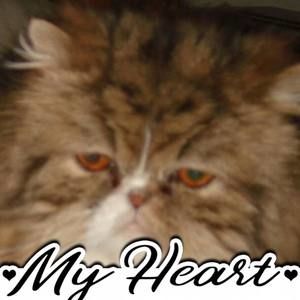 Meet your Posher, Ute